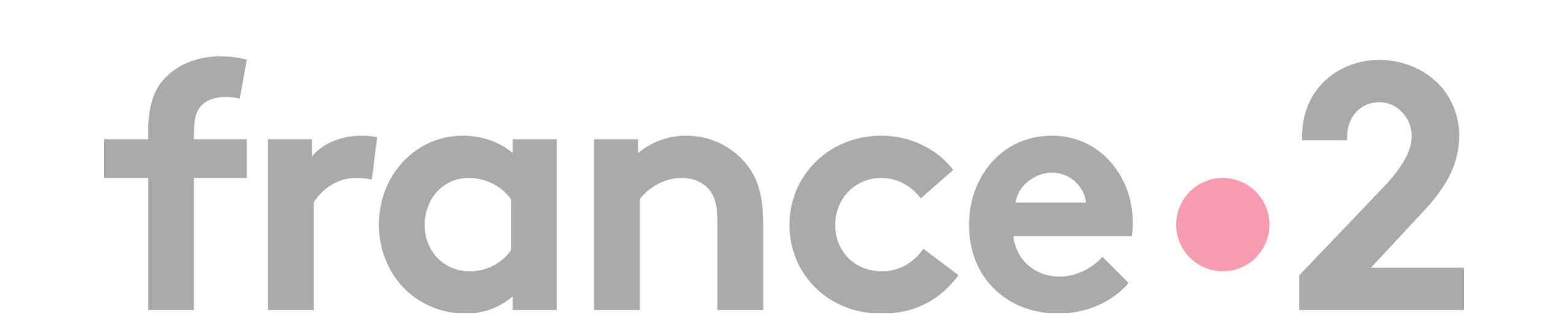logo france 2 001