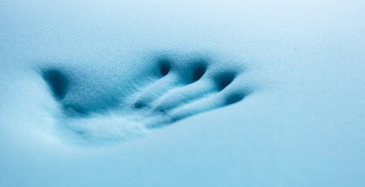 Surmatelas rafraîchissant